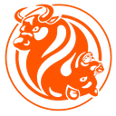 FXOpen Logo